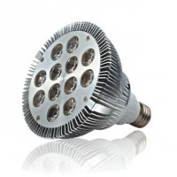 Lâmpada PAR38 LED